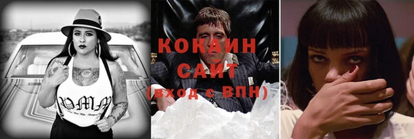 спиды Абаза